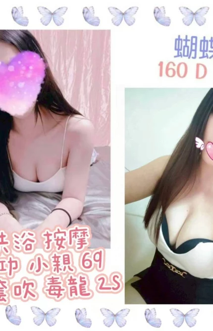 台北定點茶-蝴蝶/160/?/28/D