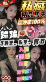 雲林定點茶-蹦蹦/162/49/?/D