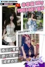 桃園定點茶-米粒/150/40/20/E