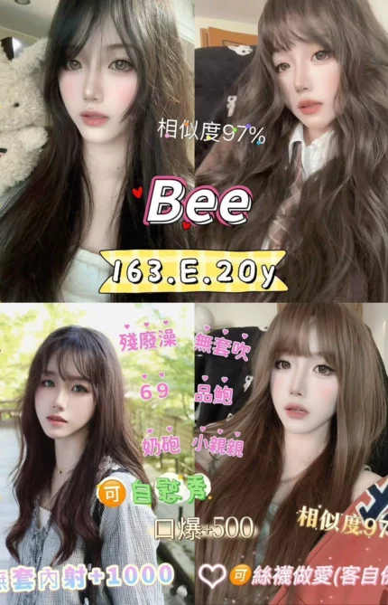 新北定點茶-BEE/163/48/20/E