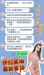 桃園定點茶-伊拉芙琳/170/48/20/D
