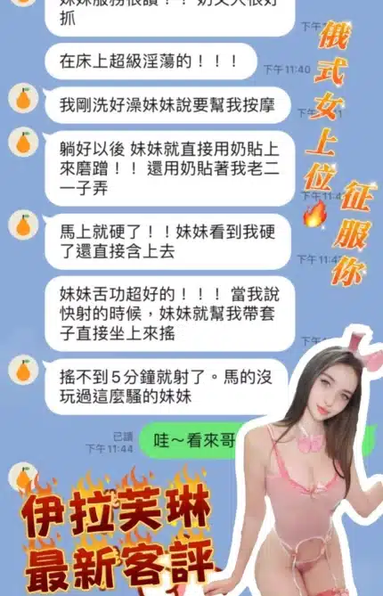 桃園定點茶-伊拉芙琳/170/48/20/D