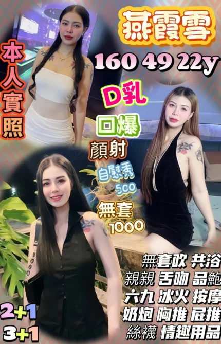 桃園定點茶-燕霞雪/160/49/22/D