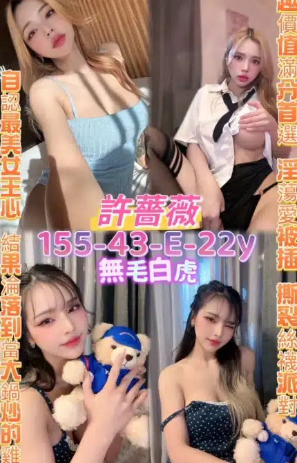 桃園定點茶-許薔薇/155/43/22/E