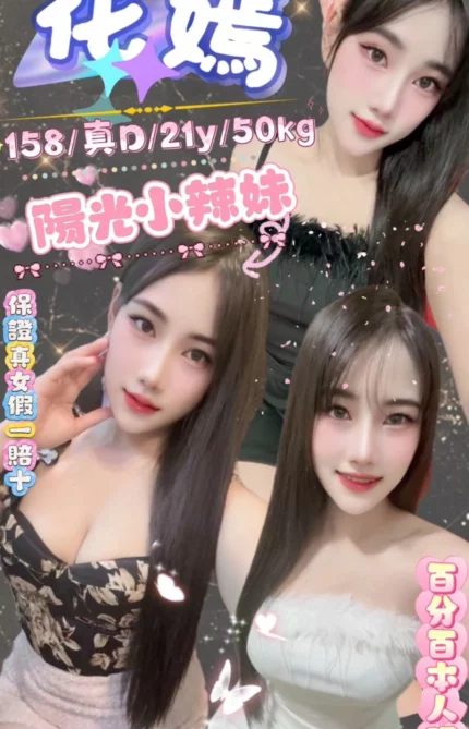 新北定點茶-花嫣/158/50/21/D