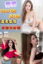 台北定點茶-青香/160/45/?/D