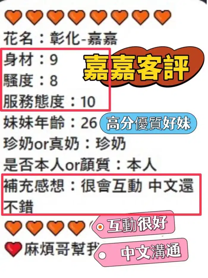 南投定點茶-嘉嘉/162/47/21/E