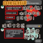 台中定點茶-白桃花/155/40/?/C