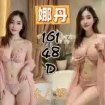 新北定點茶-娜丹/161/48/?/D