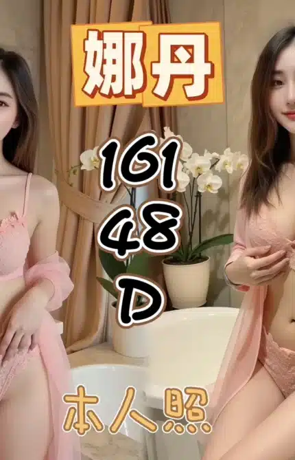 新北定點茶-娜丹/161/48/?/D