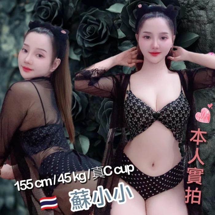 桃園定點茶-蘇小小/155/45/24/C