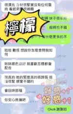 屏東定點茶-檸檬/160/48/?/F