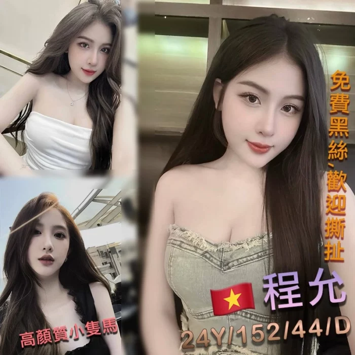 桃園定點茶-程允/152/44/24/D