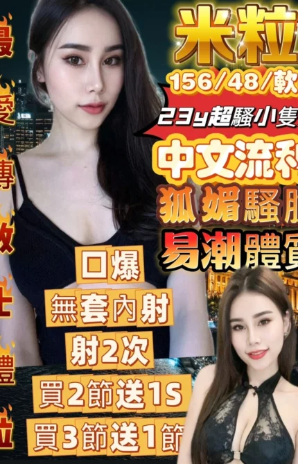 新竹定點茶-米粒/156/48/23/E