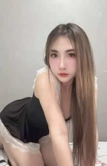 新北定點茶-多多/160/48/24/C
