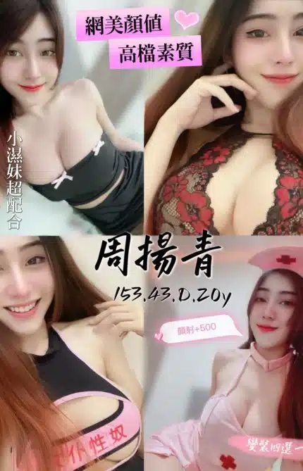 桃園定點茶-周揚青/153/43/20/D