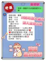 桃園定點茶-蕾蕾/180/60/24/H