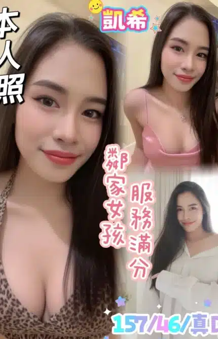 台南定點茶-凱希/157/46/?/D