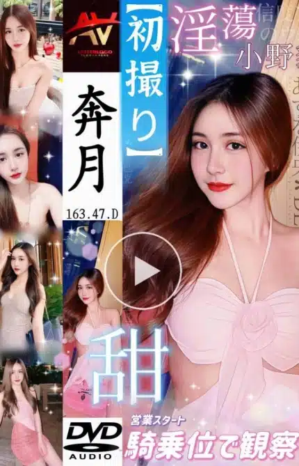 新北定點茶-奔月/163/47/?/D
