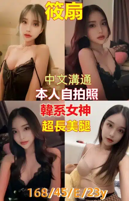 新竹定點茶-筱扇/168/45/23/E