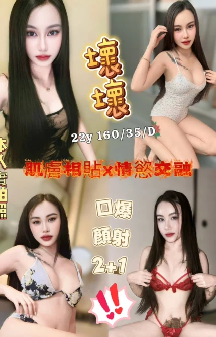 新竹定點茶-壞壞/160/35/22/D