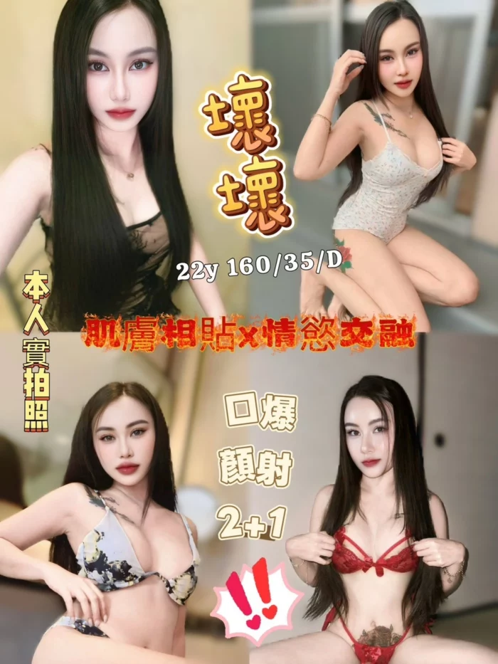 新竹定點茶-壞壞/160/35/22/D