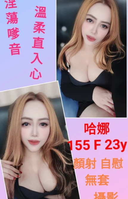 台北定點茶-哈娜/155/?/23/F