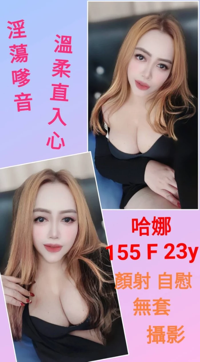 台北定點茶-哈娜/155/?/23/F