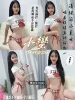 桃園定點茶-小蠻/158/48/23/D