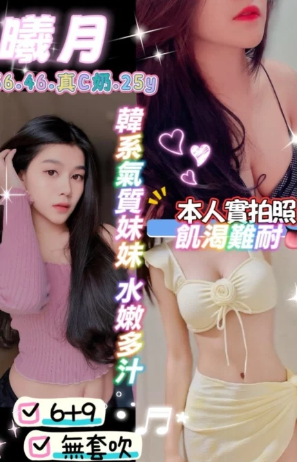 桃園定點茶-曦月/156/46/25/C