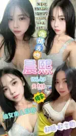 桃園定點茶-晨熙/156/43/22/B