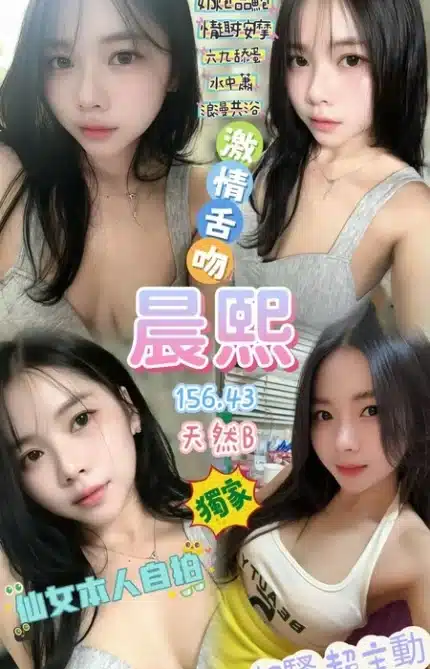桃園定點茶-晨熙/156/43/22/B