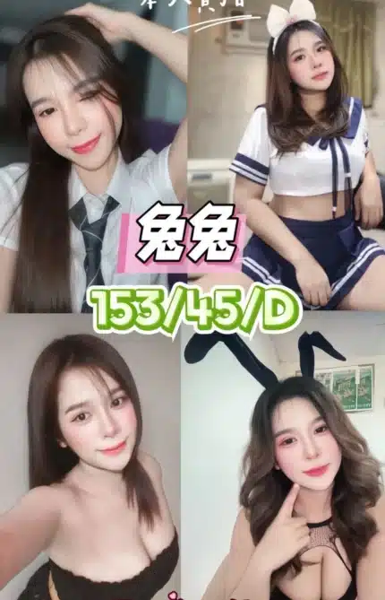台中定點茶-兔兔/153/45/22/D