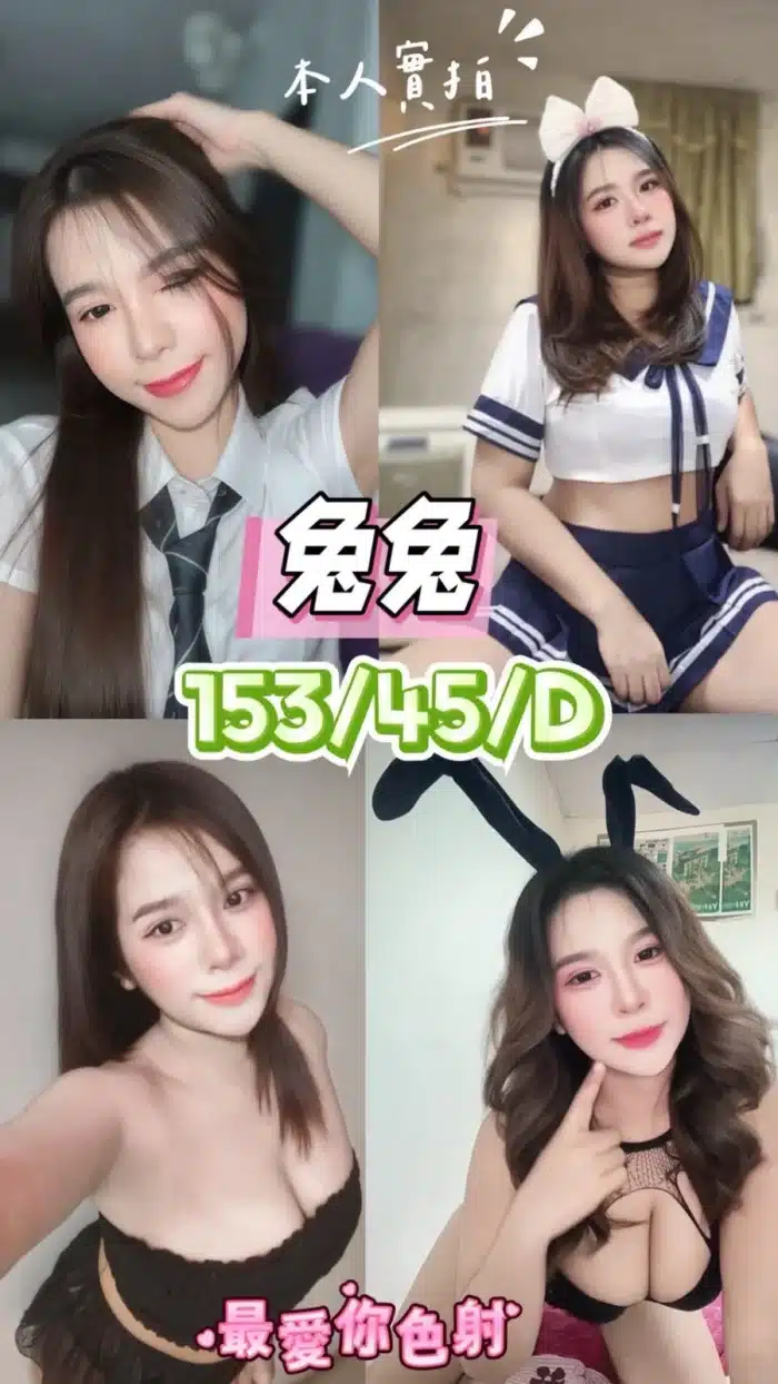 台中定點茶-兔兔/153/45/22/D