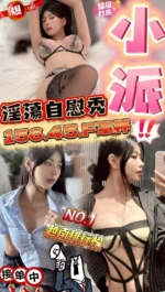 雲林定點茶-小派/156/45/?/F