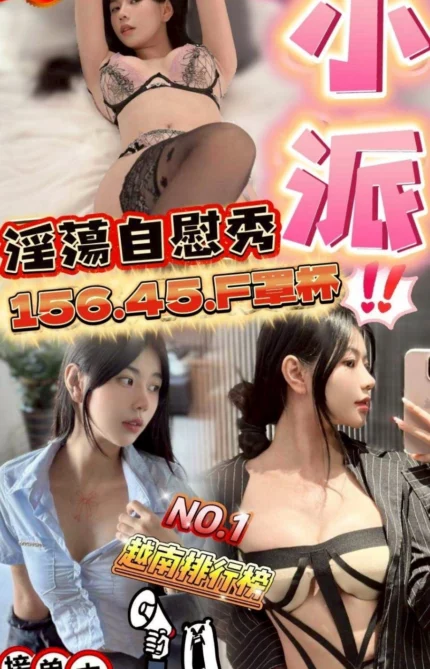 雲林定點茶-小派/156/45/?/F