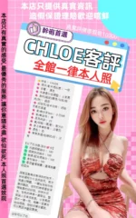 台北定點茶-CHLOE/160/44/22/D