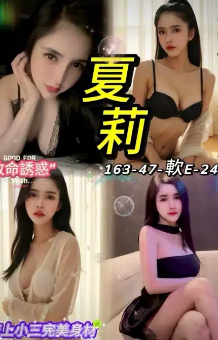 台北定點茶-夏莉/163/47/24/E