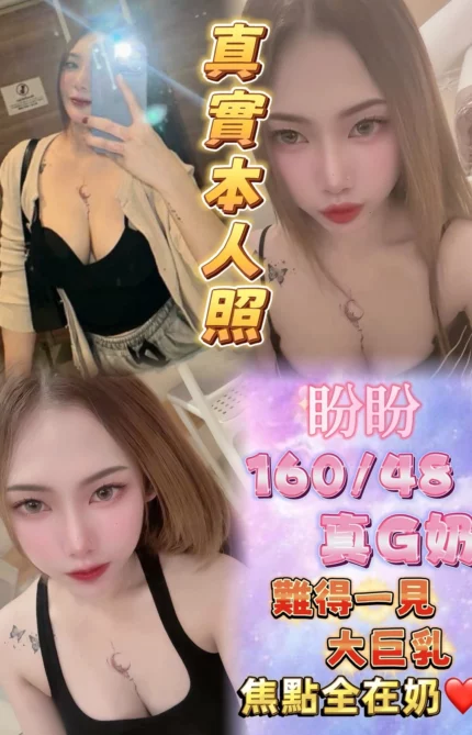 台北定點茶-盼盼/160/48/24/G