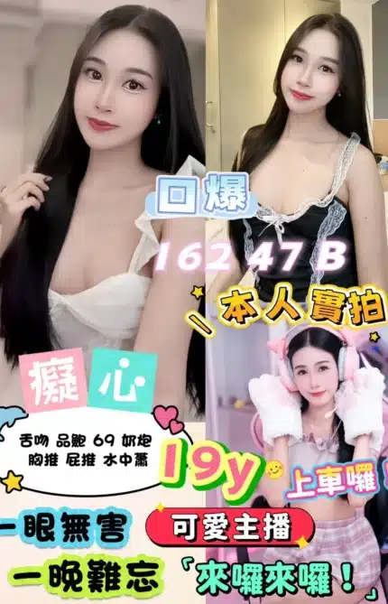 新北定點茶-癡心/162/47/19/B