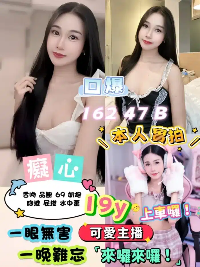 新北定點茶-癡心/162/47/19/B