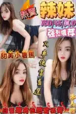 金門定點茶-辣妹/160/45/?/D