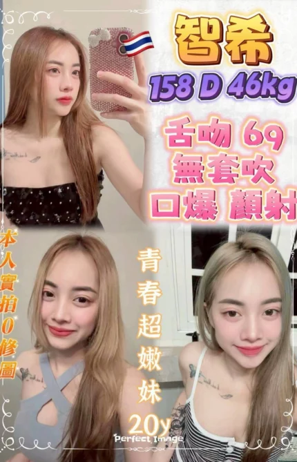 新北定點茶-智希/158/46/20/D