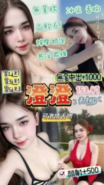 桃園定點茶-澄澄/153/47/23/D