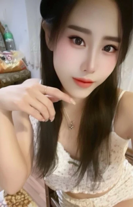 屏東外送茶-葵葵/160/48/?/D