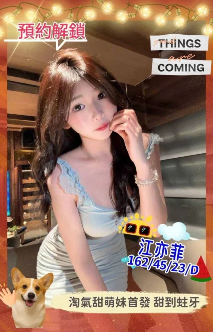 台南外送茶-江亦菲/162/45/23/D