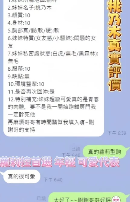 高雄定點茶-桃乃木/158/43/20/E