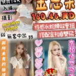 雲林定點茶-金恩采/160/46/?/D