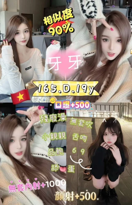 新北定點茶-牙牙/165/47/19/D