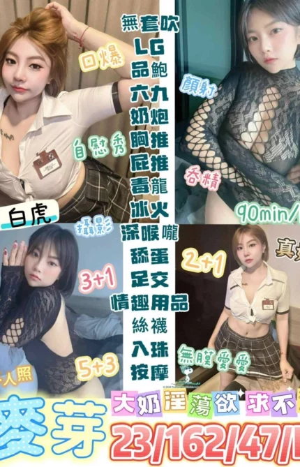 台東定點茶-麥芽/162/47/23/E